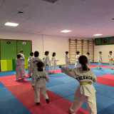 ...e saltelli per poi calciare in aria gridando energicamente all�unisono �kiap�